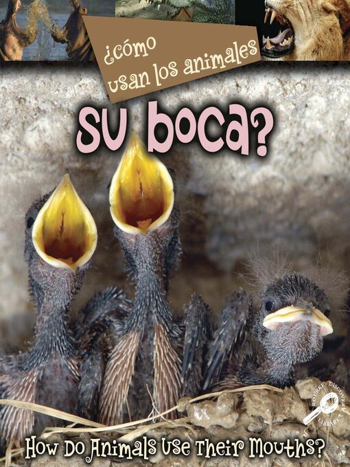 Title details for ¿Cómo Usan Los Animales Su Boca? by Lynn M. Stone - Available